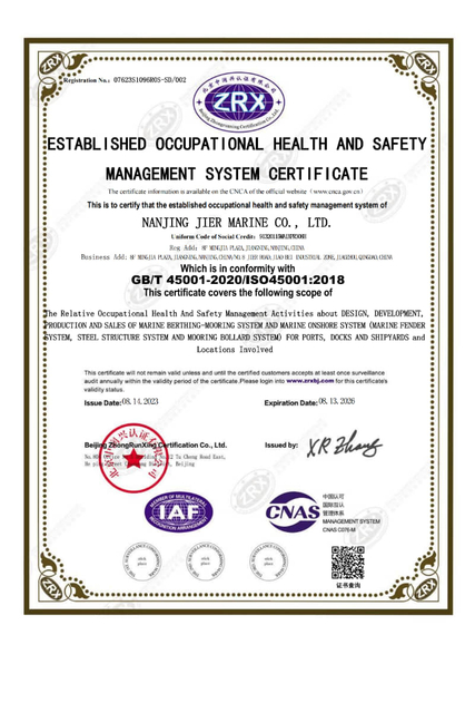 ISO 45001 Sistem Manajemen Kesehatan dan Keselamatan Kerja yang Didirikan Sertifikat_01-800x1200